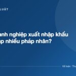 Vì sao doanh nghiệp xuất nhập khẩu thường lập nhiều pháp nhân? - ketoanthue.net