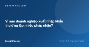 Vì sao doanh nghiệp xuất nhập khẩu thường lập nhiều pháp nhân? - ketoanthue.net